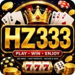 HZ333